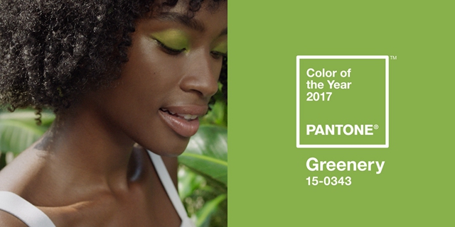 PANTONE2017年代色 15-0343 Greenery (草木綠)