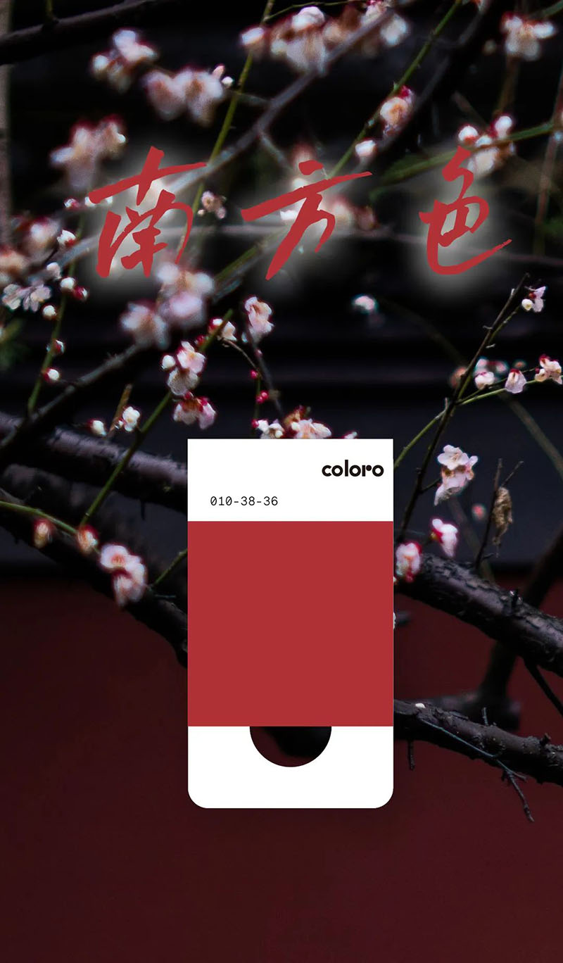 coloro色號010-38-36