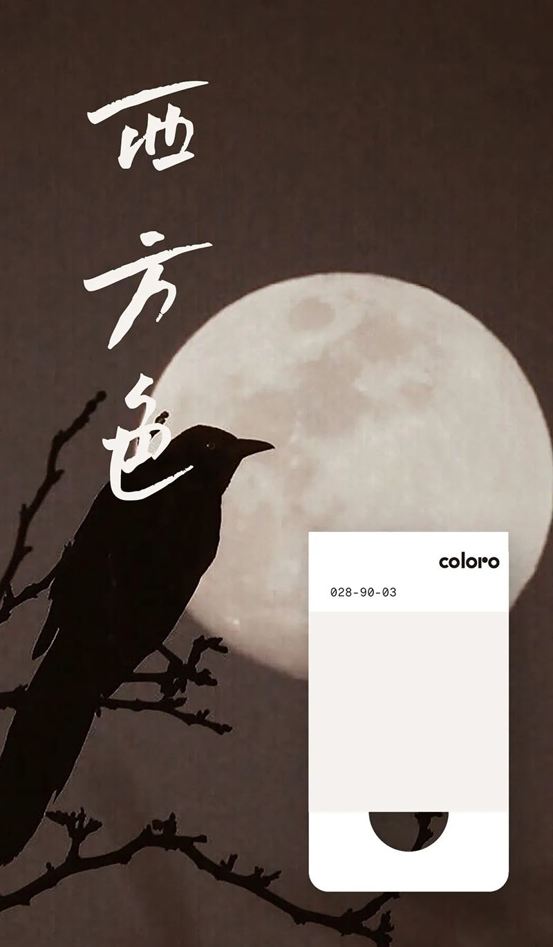 coloro色號028-90-03
